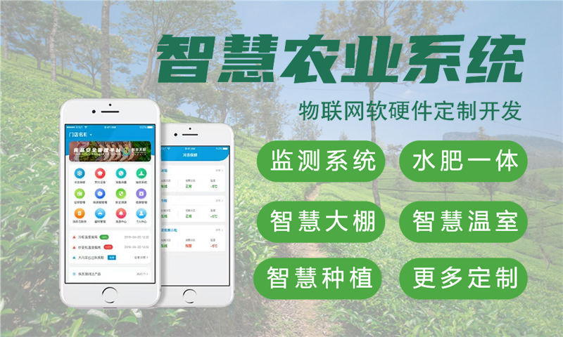 北京物联网设备开发服务：专业外包助力企业高效转型