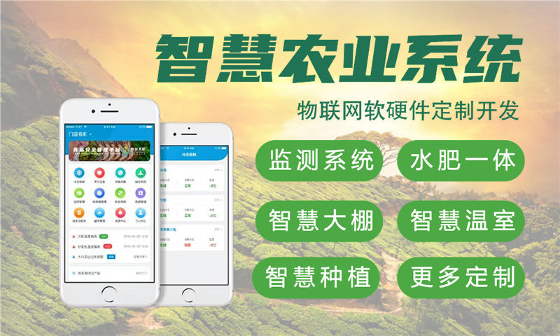 福州嵌入式图像处理开发：助力企业突破硬件研发瓶颈，实现智能升级